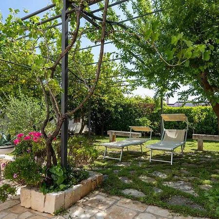 Salinola 4 Ostuni